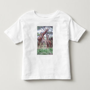 Giraffe Group or Herd w/ Young, Giraffa Toddler T-Shirt