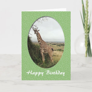 Giraffe happy birthday card