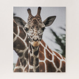 Giraffe head Giraffe fur print African Animal Jigsaw Puzzle