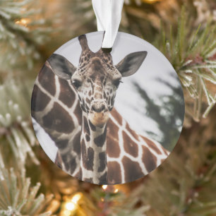 Giraffe head Giraffe fur print African Animal Ornament