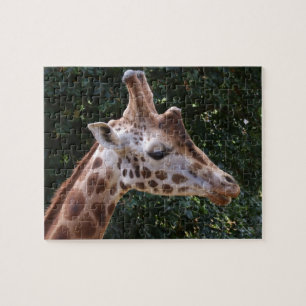 Giraffe Head Jigsaw Puzzle