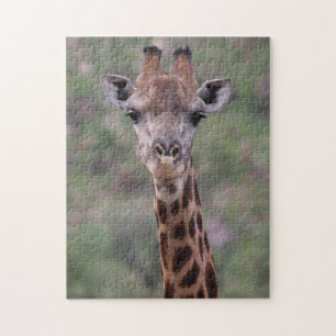 Giraffe Headshot Jigsaw Puzzle