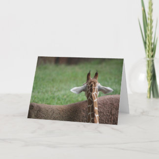 Giraffe Holiday Card