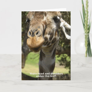 Giraffe Holiday Card