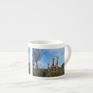 Giraffe Horizon Tile Sip Espresso Cup