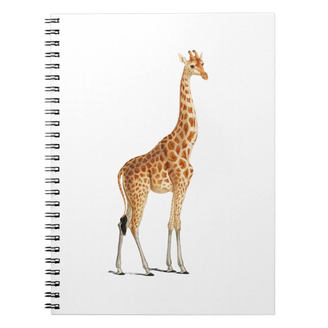 Giraffe Illustration Design for Kids Room Notebook (Front)