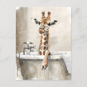 Giraffe in a bath. postcard