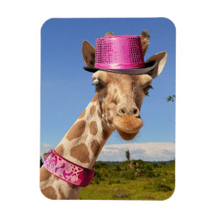 Giraffe in a sparkly pink hat magnet