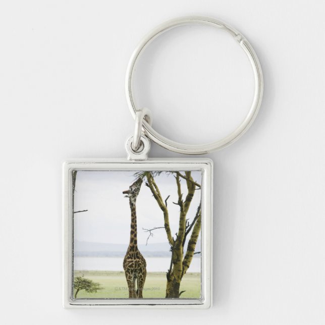 Giraffe in Kenya, Africa Key Ring (Front)