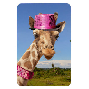Giraffe in sparkly pink hat magnet