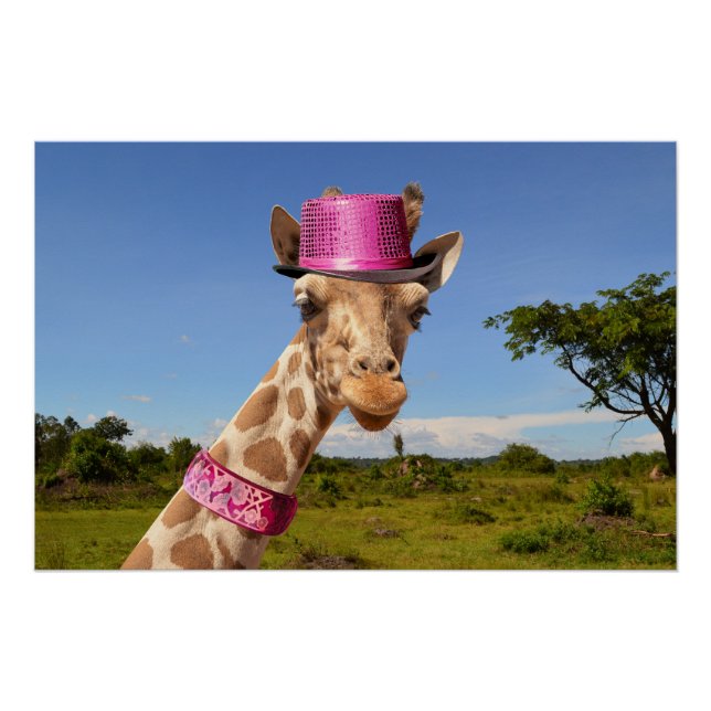 Giraffe in sparkly pink hat poster (Front)