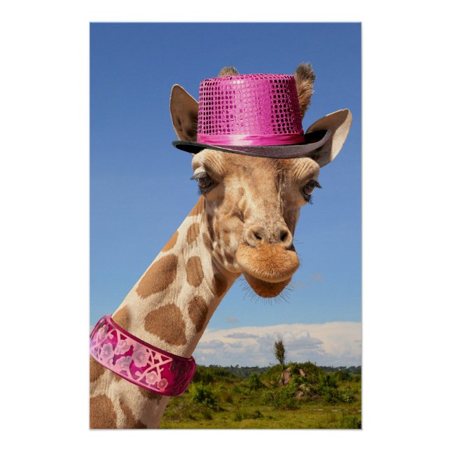 Giraffe in sparkly pink hat poster (Front)