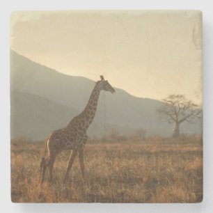Giraffe in the Savannah Stone Coaster