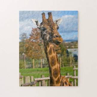 Giraffe Jigsaw puzzle