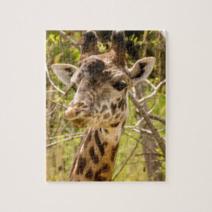 Giraffe Jigsaw Puzzle