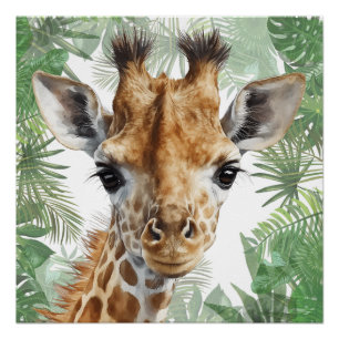 Giraffe Jungle Background  Poster