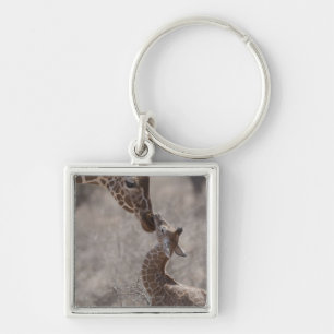 Giraffe, Kenya, Africa Key Ring