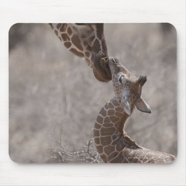 Giraffe, Kenya, Africa Mouse Pad (Front)