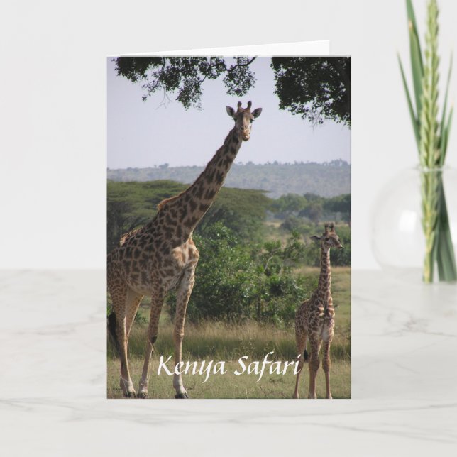 Giraffe, Kenya Safari Card (Front)