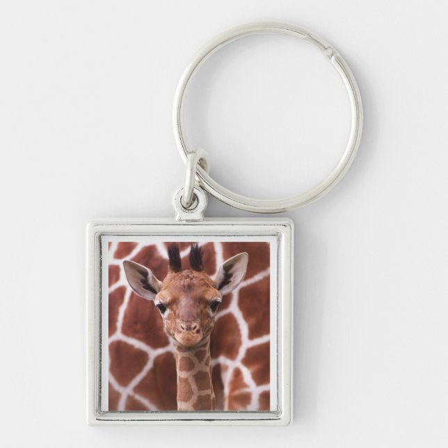Giraffe Key Ring (Front)