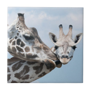 Giraffe Kisses Her Calf Ceramic Tile