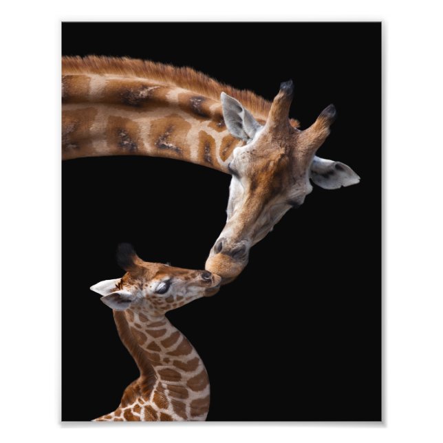 Giraffe Kisses Print (Front)