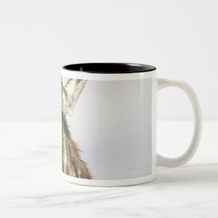 Giraffe, Kruger National Park, South Africa Two-Tone Coffee Mug