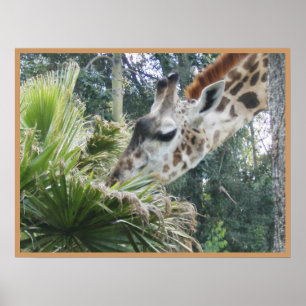 Giraffe: Let's Do Lunch Poster