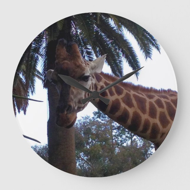 Giraffe Lookout, Large Clock (Front)