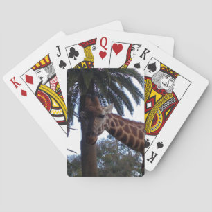 Giraffe Lookout, Playing Cards