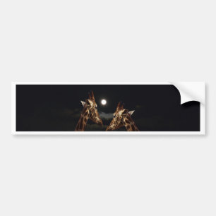 Giraffe Love In The Moonlight, Bumper Sticker