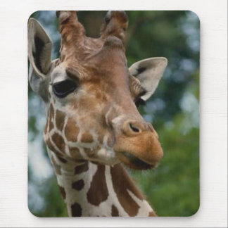 Giraffe Lovers Art Gifts Mouse Pad