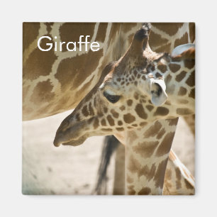 Giraffe • Magnet