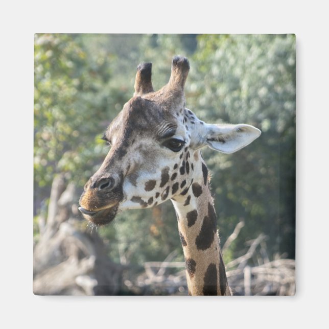 Giraffe Magnet (Front)