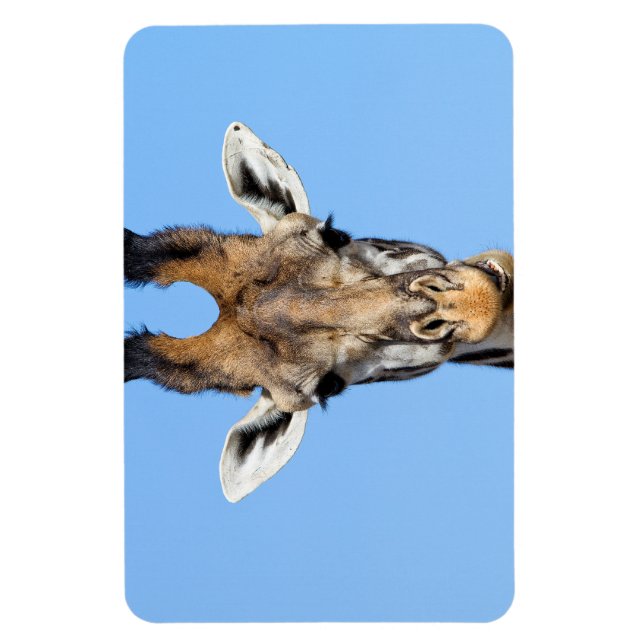 Giraffe Magnet (Vertical)