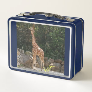 Giraffe Metal Lunchbox