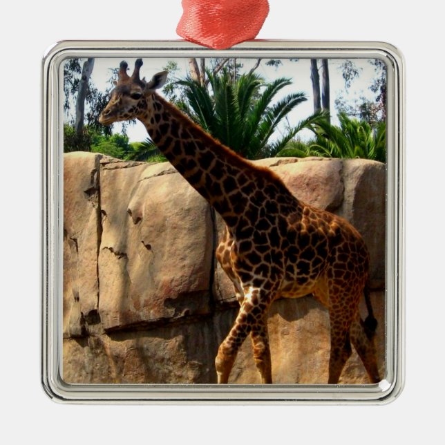 Giraffe Metal Ornament (Front)
