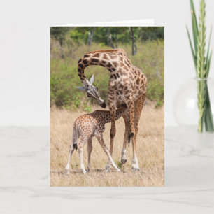 Giraffe Mother and Baby in Kenya Card