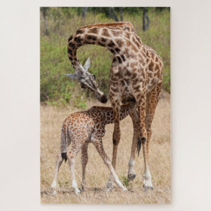 Giraffe Mother and Baby in Kenya Jigsaw Puzzle