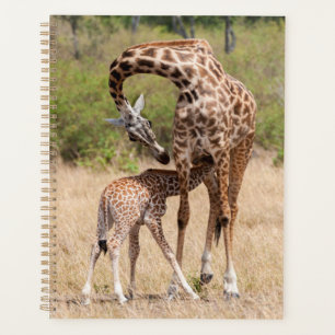 Giraffe Mother and Baby in Kenya Planner