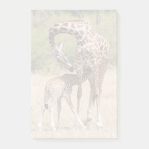 Giraffe Mother and Baby in Kenya Post-it Notes