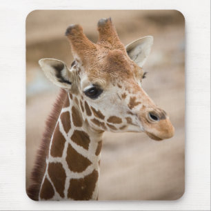 giraffe mouse pad