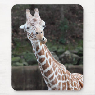 Giraffe Mouse Pad