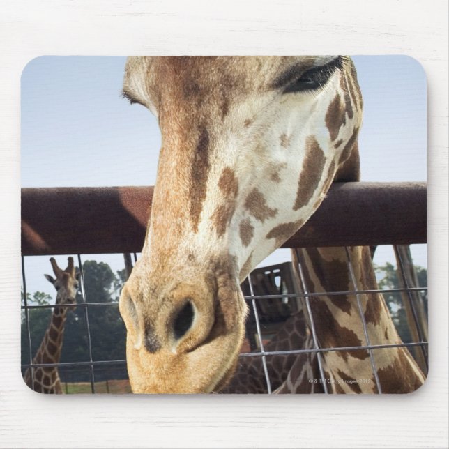 Giraffe Mouse Pad (Front)