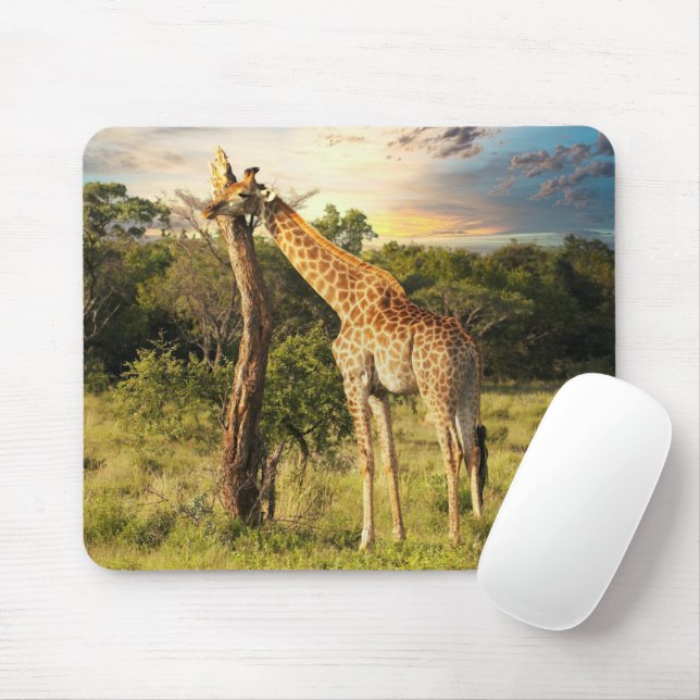 Giraffe  mouse pad (With Mouse)