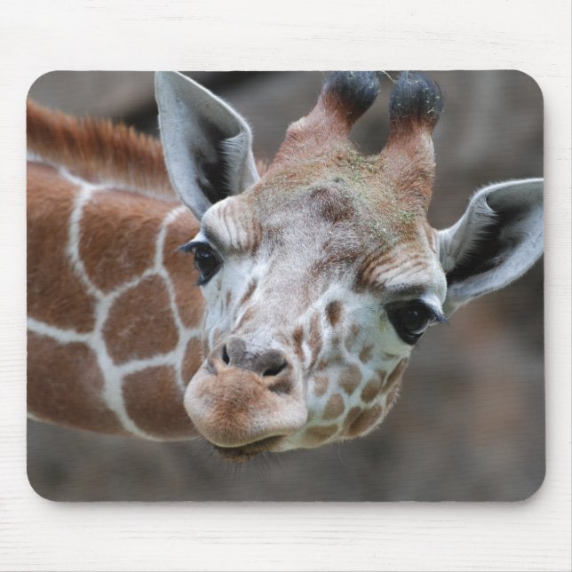 Giraffe  Mouse Pad (Front)