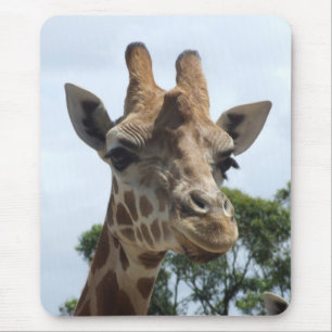 Giraffe Mousepad