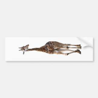 Giraffe Named Tip Top Bumper Sticker..! Bumper Sticker
