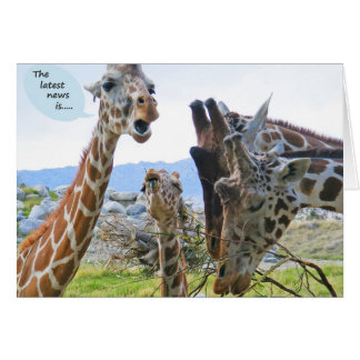 Giraffe News Card