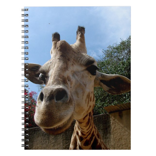 Giraffe Notebook (Front)